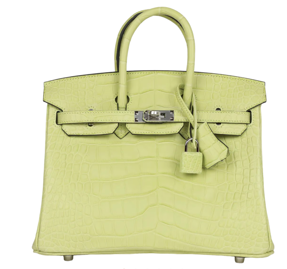 Jaune Bourgeon Birkin 25 cm in Mississippiensis Alligator Matte with Palladium Hardware