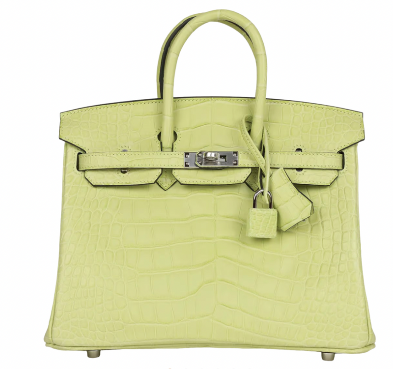 Jaune Bourgeon Birkin 25 cm in Mississippiensis Alligator Matte with Palladium Hardware