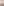         Barbour by Alexa Chung Beige Earnest Raincoat