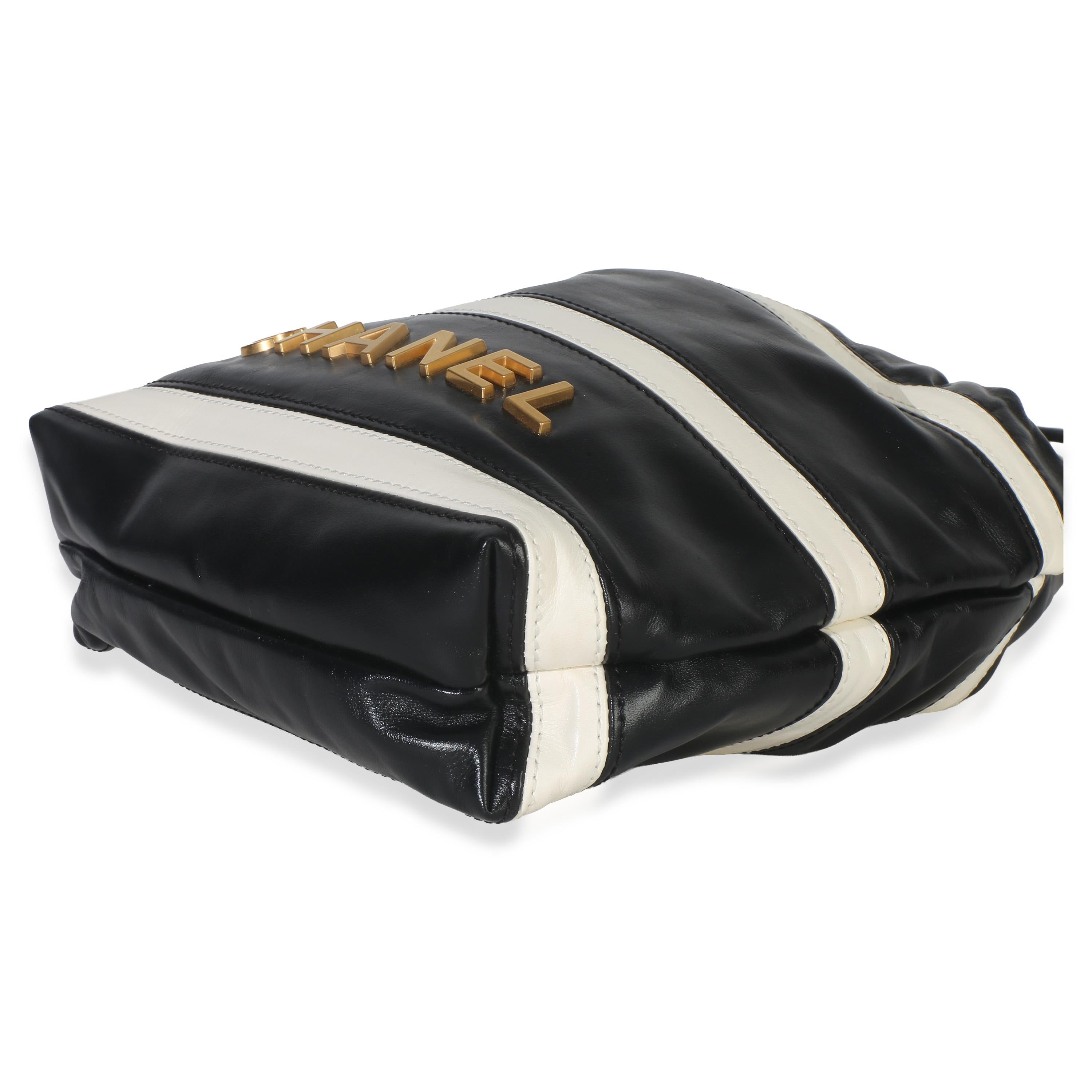Chanel  Mini Quilted Calfskin 22 Hobo