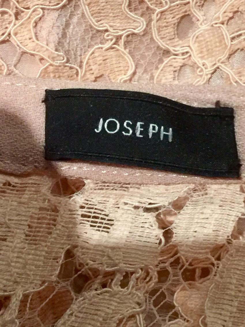 Joseph Nude Lace Detailed Frances Dress