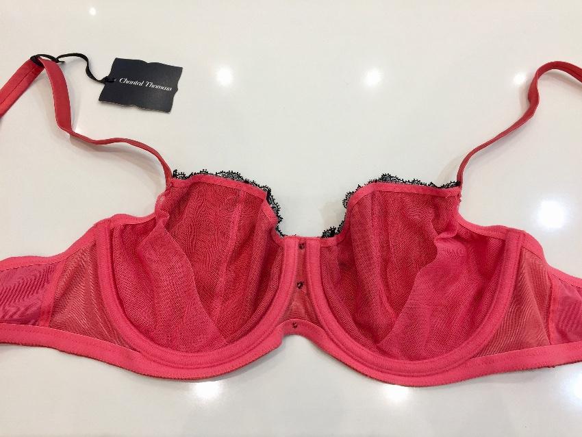 Chantal Thomass Strawberry Silk & Lace Lingerie Set