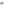         Dita Gray Sunbird Cat Eye Sunglasses