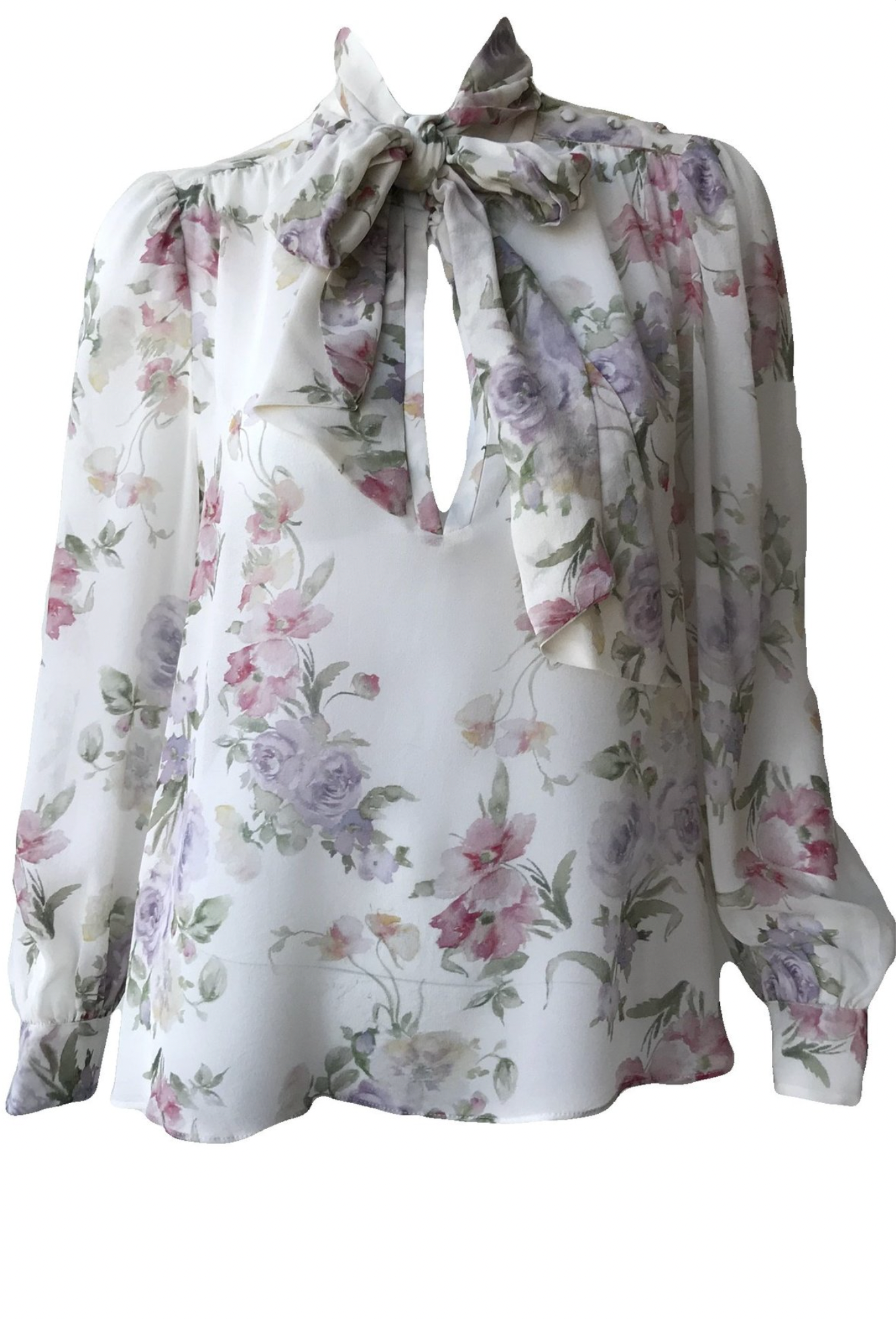 Love Shack Fancy Semi Sheer Silk Floral Printed Blouse