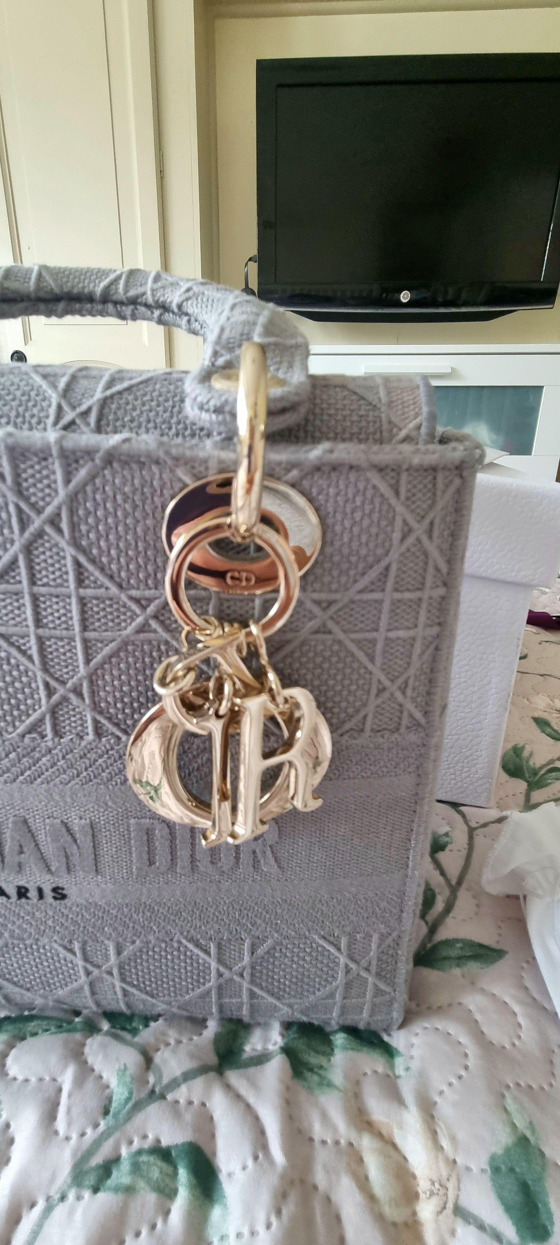 Dior Grey Embroidered Medium Lady D-Lite