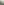         Fenty Chardonnay Antisocial Sunglasses