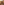         Ralph Lauren Tan Leather jacket