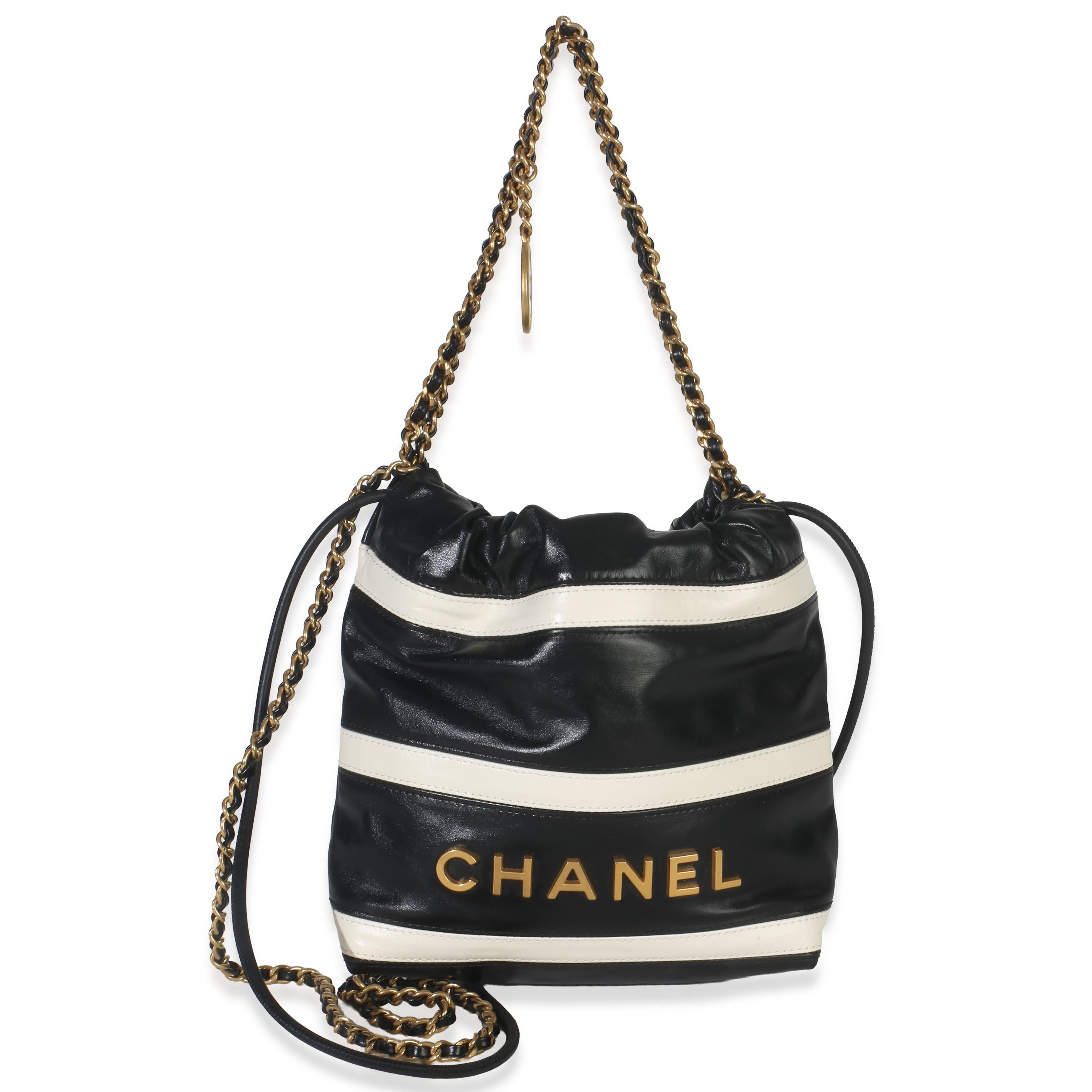 Chanel  Mini Quilted Calfskin 22 Hobo