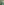         Zimmermann Green Golden Plisse Mini Dress