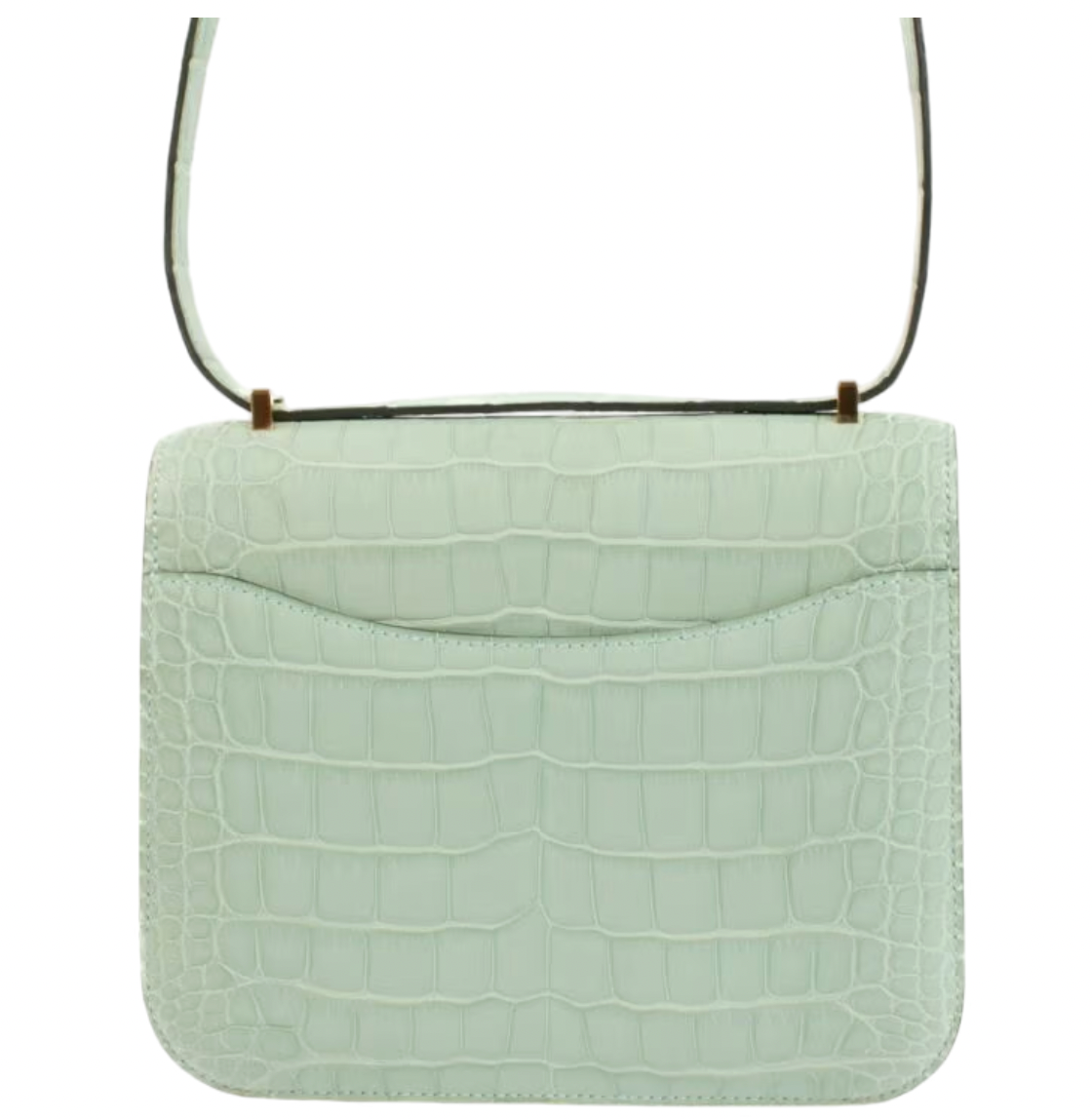 Matte Vert d'Eau Mississipiensis Alligator 18cm Mini Constance with Gold Hardware