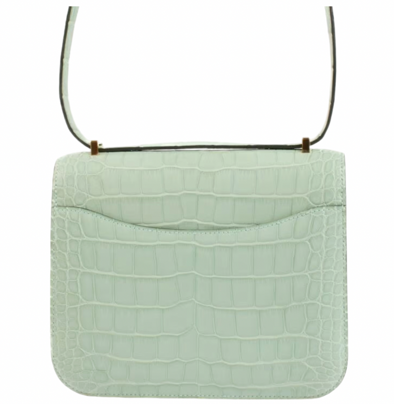 Matte Vert d'Eau Mississipiensis Alligator 18cm Mini Constance with Gold Hardware
