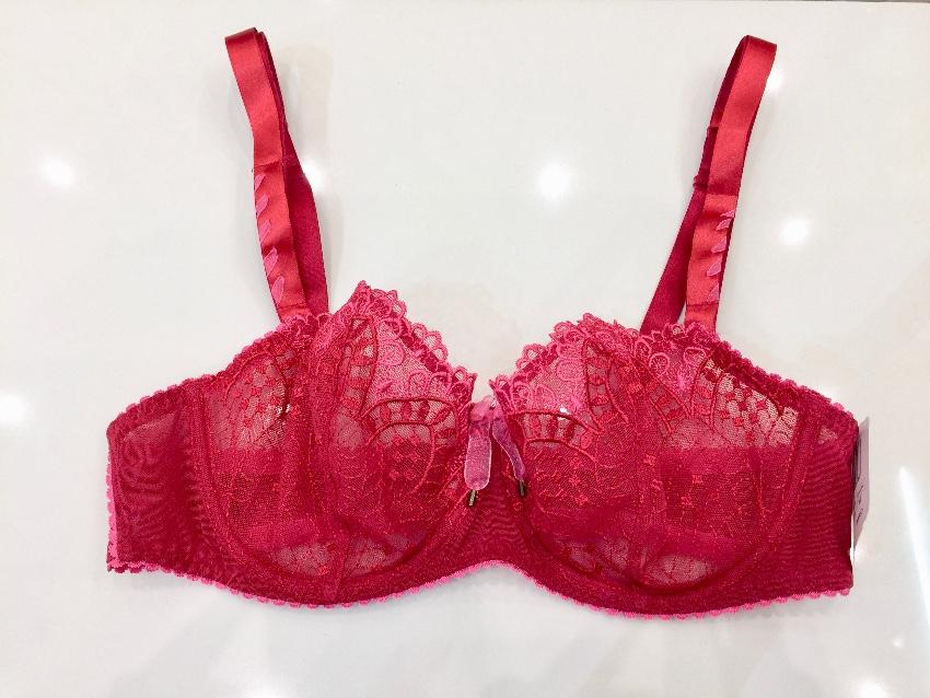Aubade Paris Embroidered Rose Red & Fuchsia Pink Bra & Brief Set