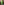         Christian Lacroix Acid Green Frock Coat