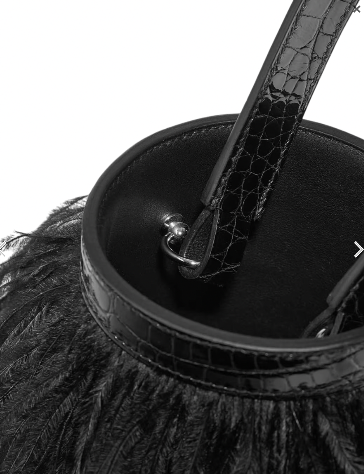 Alligator Toupet Folie Mississippiensis  Plumes Autruche