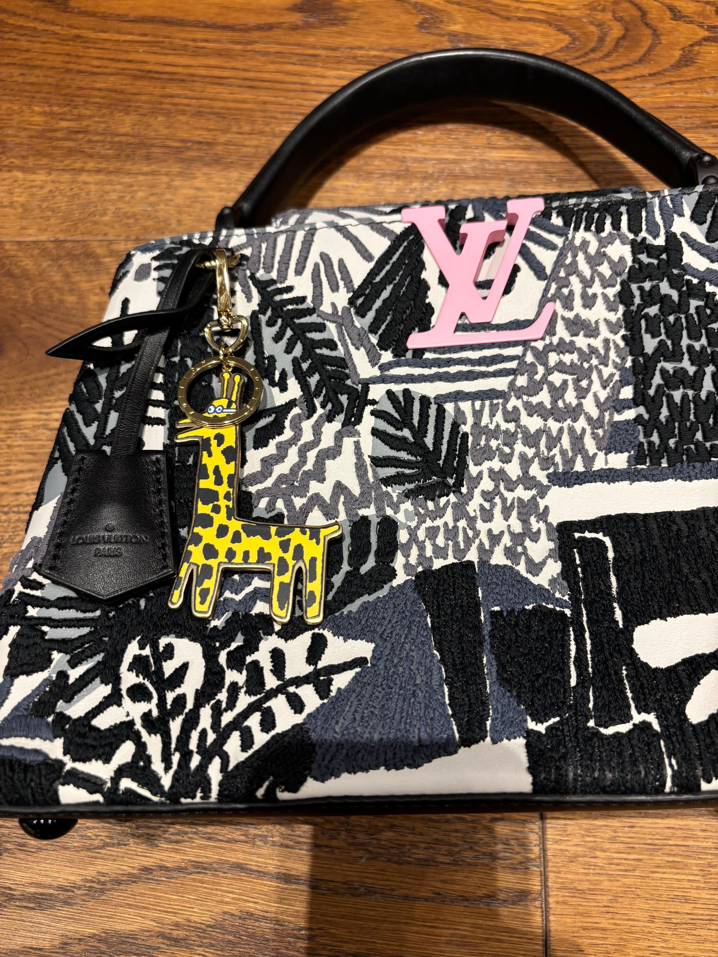 Louis Vuitton Limited Edition Bag