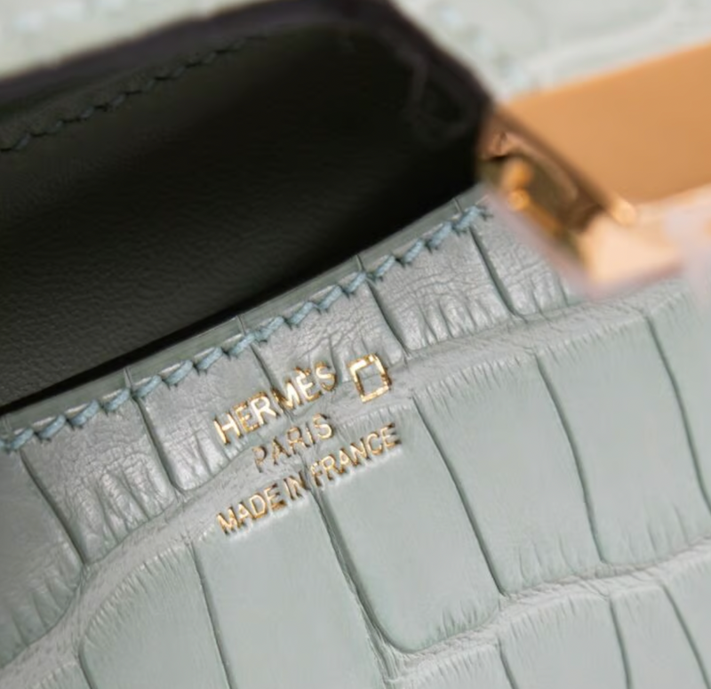 Matte Vert d'Eau Mississipiensis Alligator 18cm Mini Constance with Gold Hardware