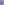         Scherrer Paris Purple Top