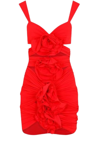 Magda Butrym Red Floral Applique Mini Dress