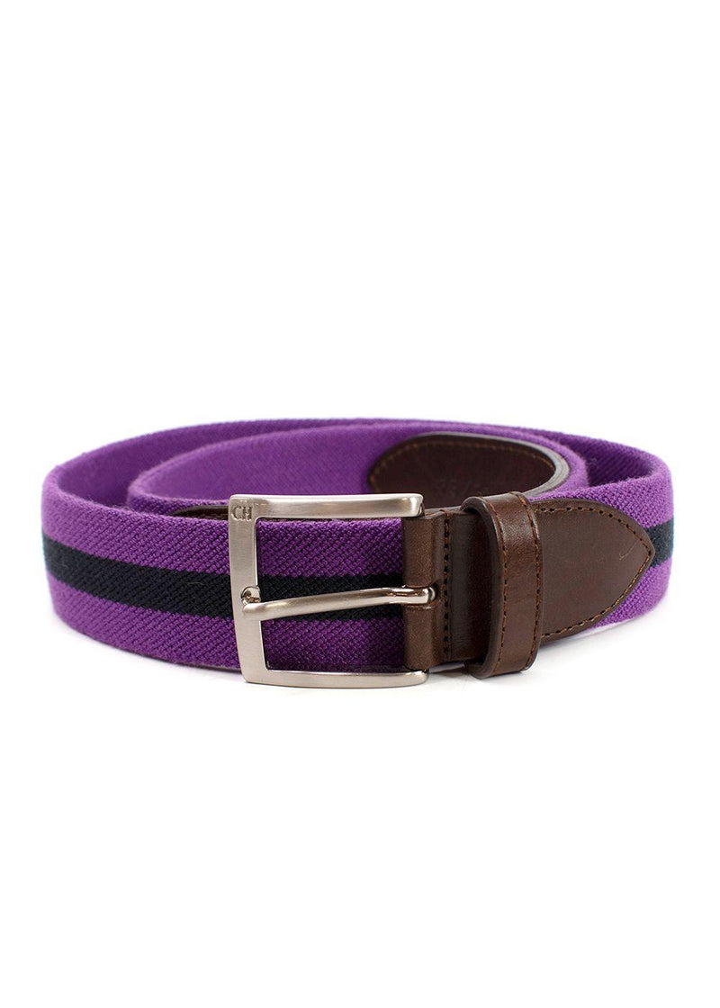 Carolina Hererra Brown Leather & Purple Canvas Belt
