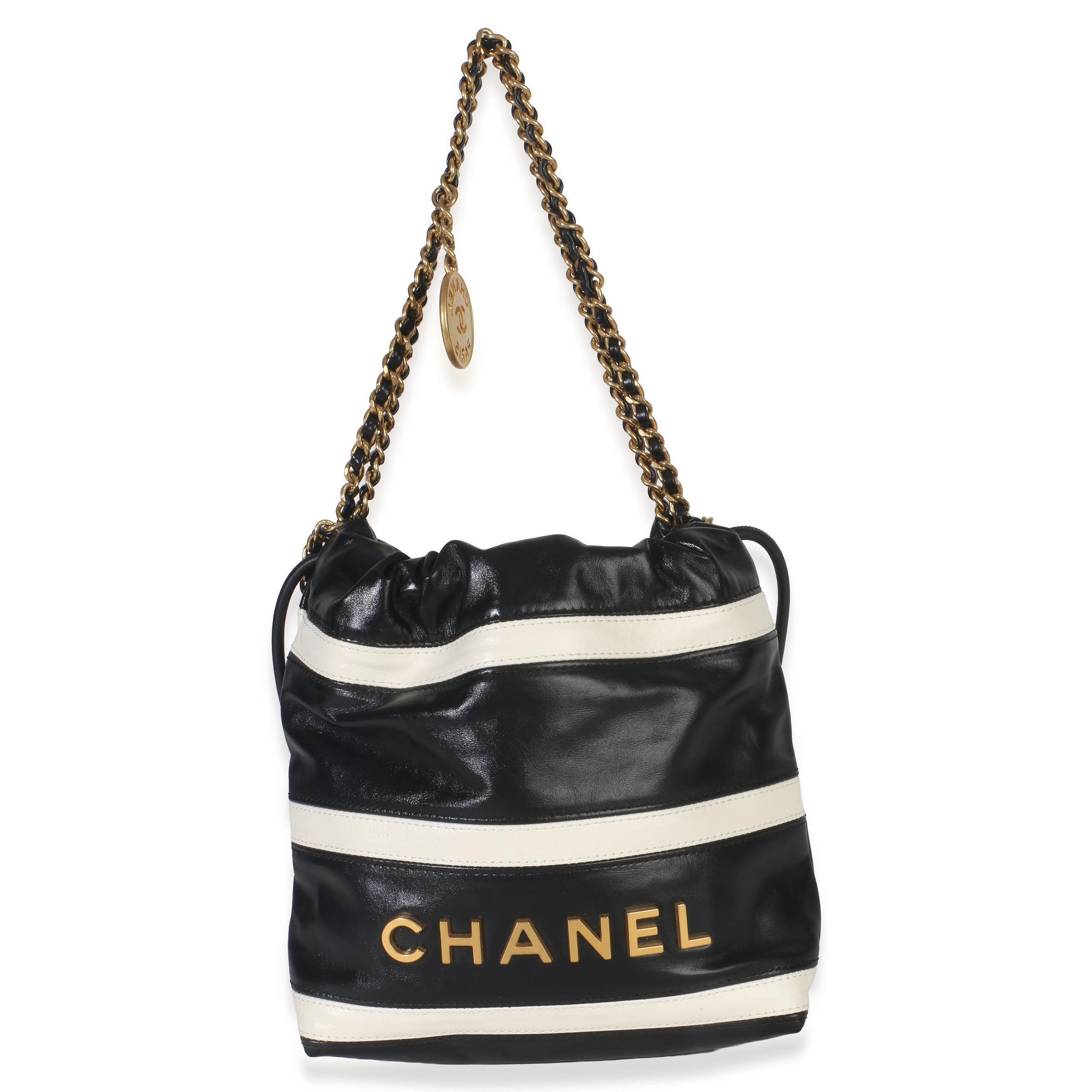 Chanel  Mini Quilted Calfskin 22 Hobo