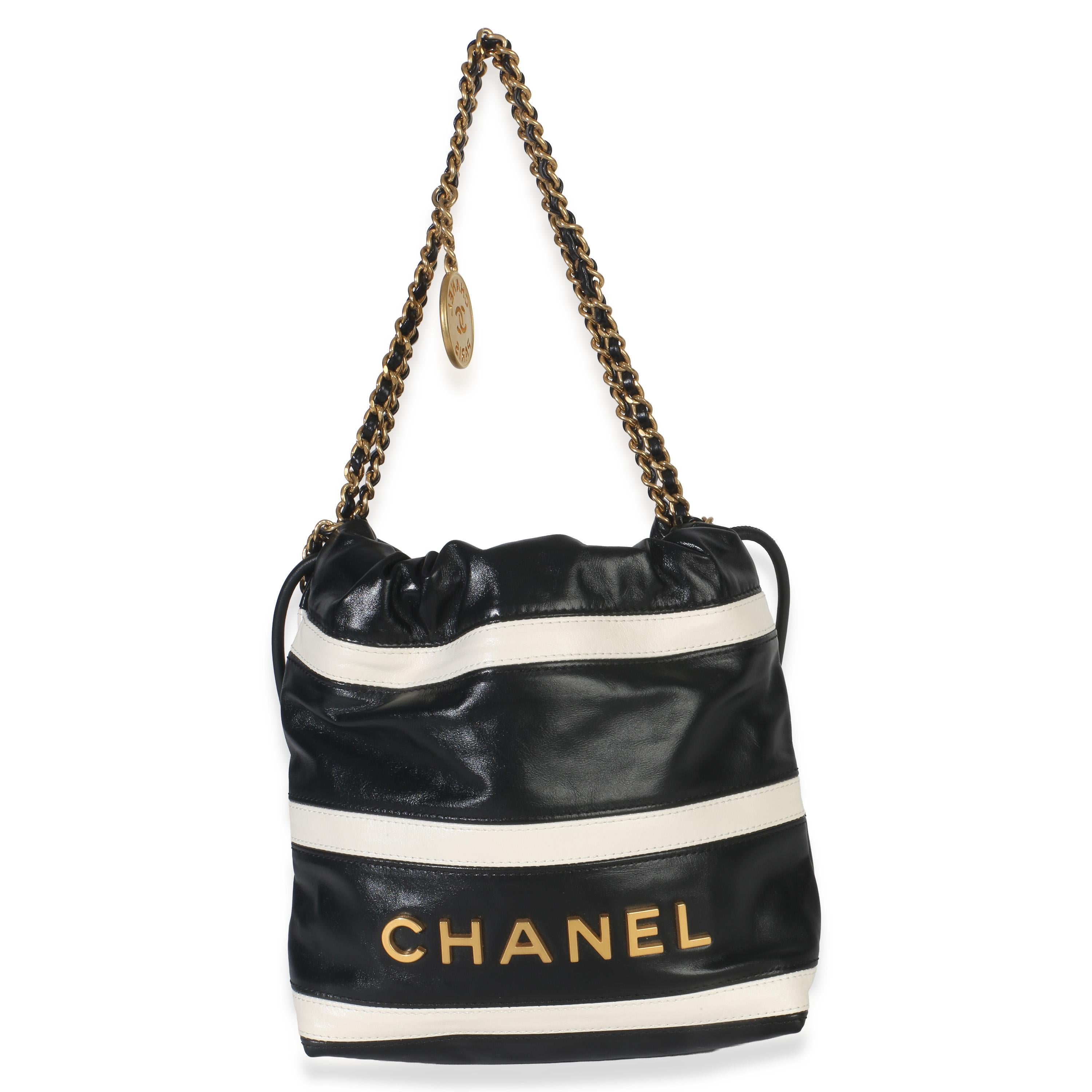 Chanel  Mini Quilted Calfskin 22 Hobo