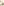         Aime Cream Over Shirt