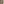         Citizens of Humanity Twill Favi Trench Coat