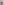         Scherrer Paris Purple Top