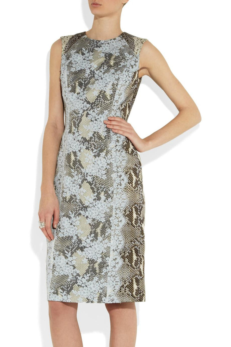 Erdem python print and lace sleeveless dress