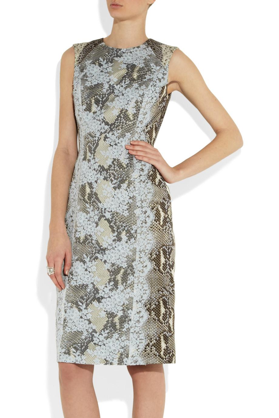 Erdem python print and lace sleeveless dress