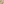         Bogner Beige Straight Shorts