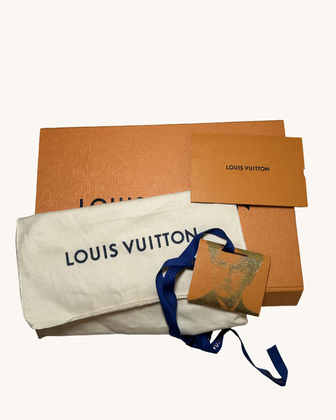 Louis Vuitton Coated Canvas And Leather Bag