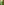         Christian Lacroix Acid Green Frock Coat