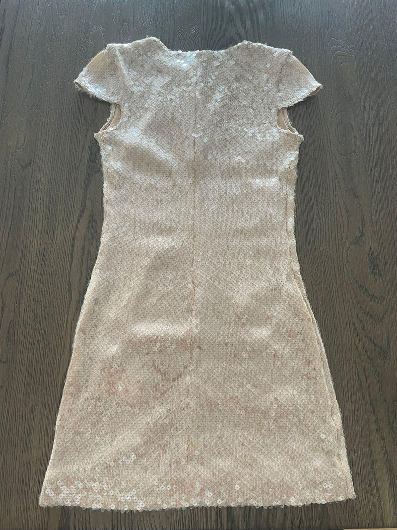 16Arlington Beige Sequin Embellished Mini Dress