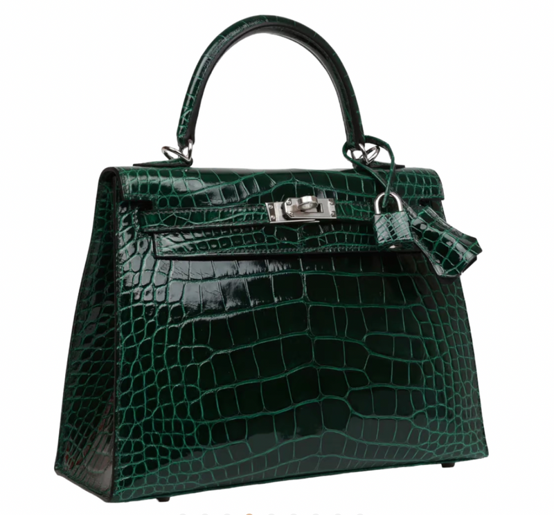 Crocodile Niloticus Lisse Vert Foncé 25cms Kelly with Palladium Hardware