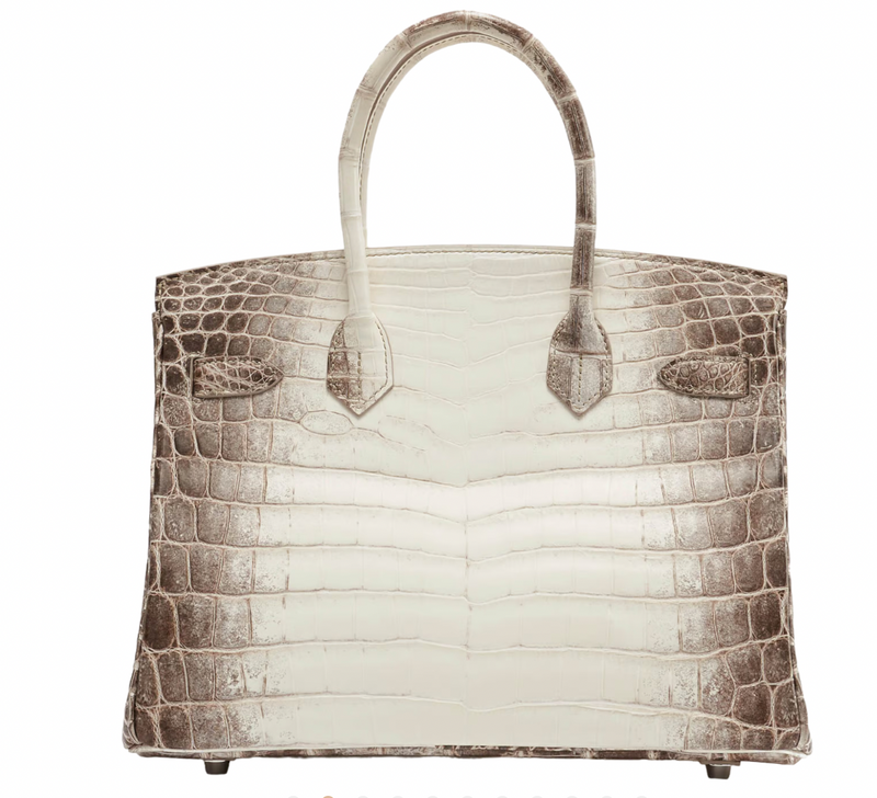 30 cm Crocodile Niloticus Matte Himalaya Birkin Palladium Hardware