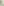         Mischka Aoki Green Embellished Tulle Gown