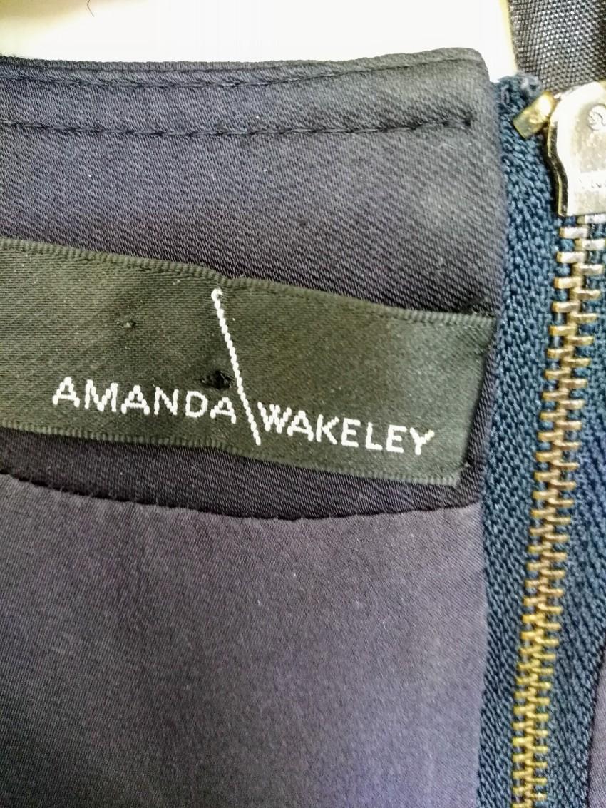 Amanda Wakeley draped blue dress