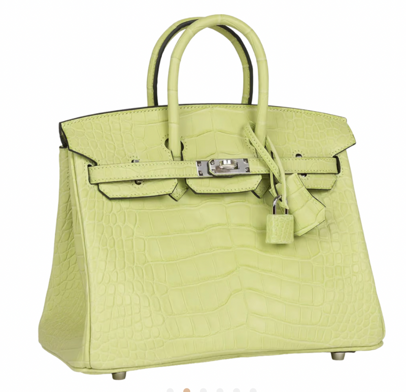 Jaune Bourgeon Birkin 25 cm in Mississippiensis Alligator Matte with Palladium Hardware