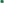         Green High Waist Silk Shorts