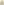         Runway Gold Leather Bomber Jacket