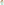        LaPointe  Silk Cowlneck Camisole