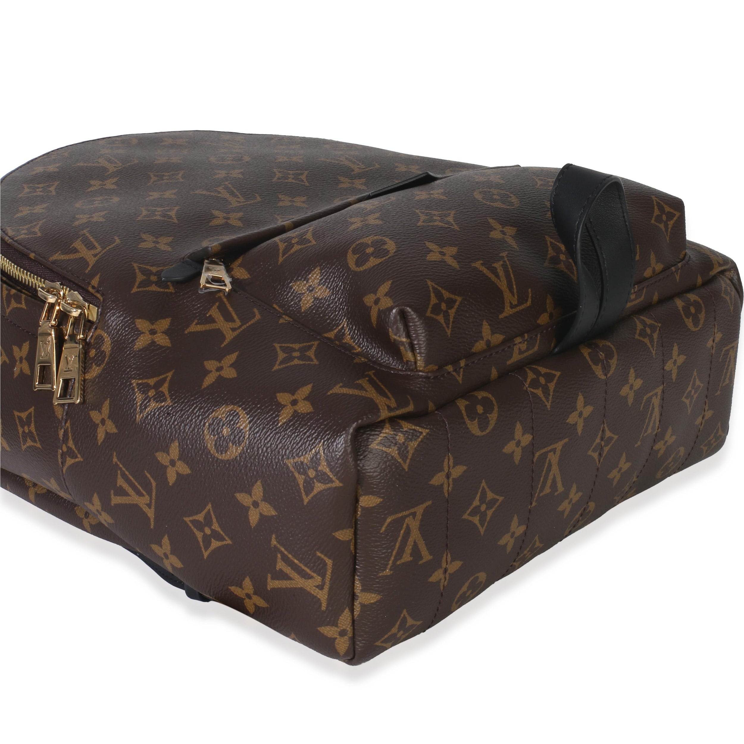 Louis Vuitton Coated Canvas Palm Springs MM