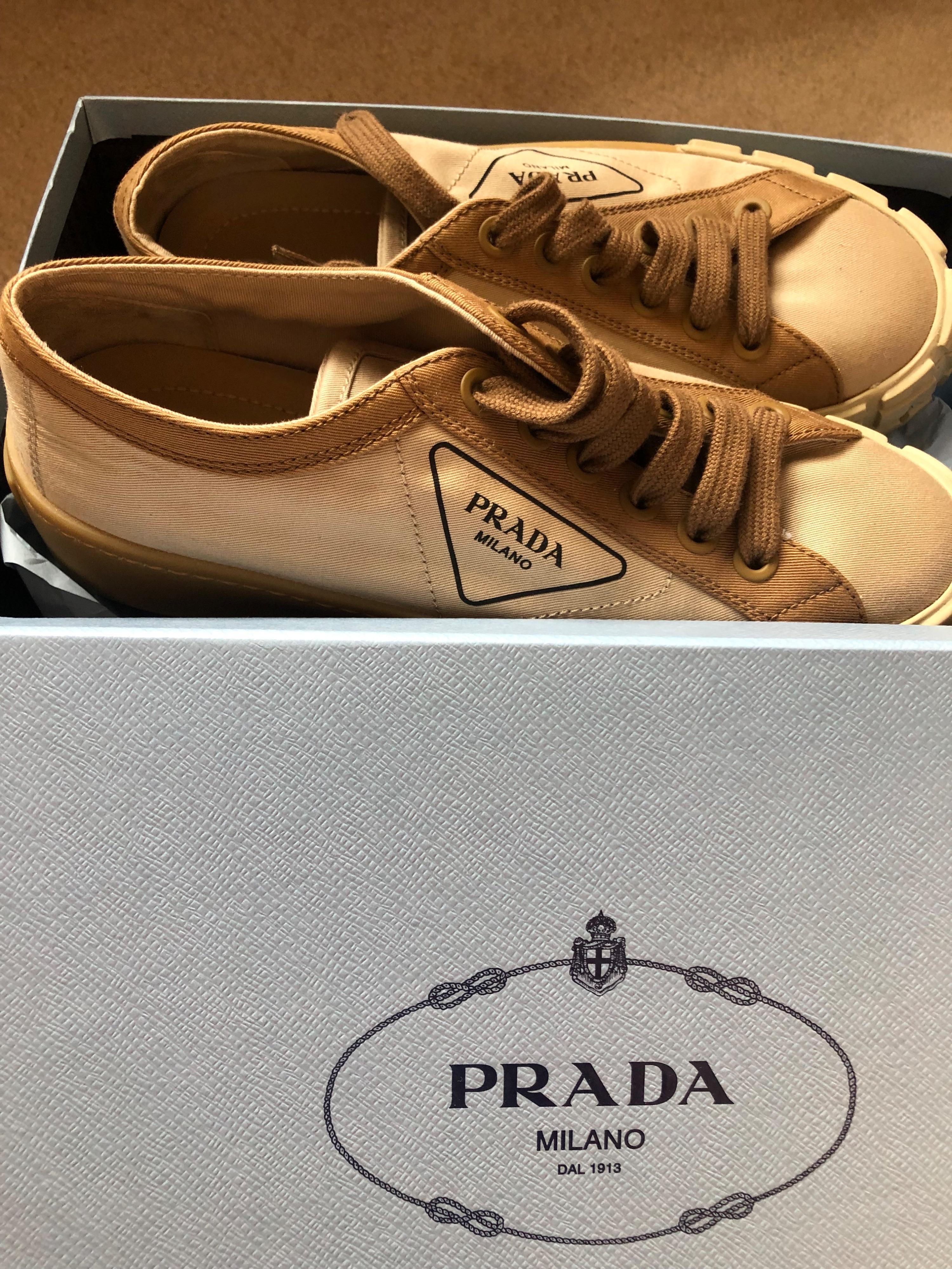 Wheel Canvas Corda Khaki Low Top Sneakers