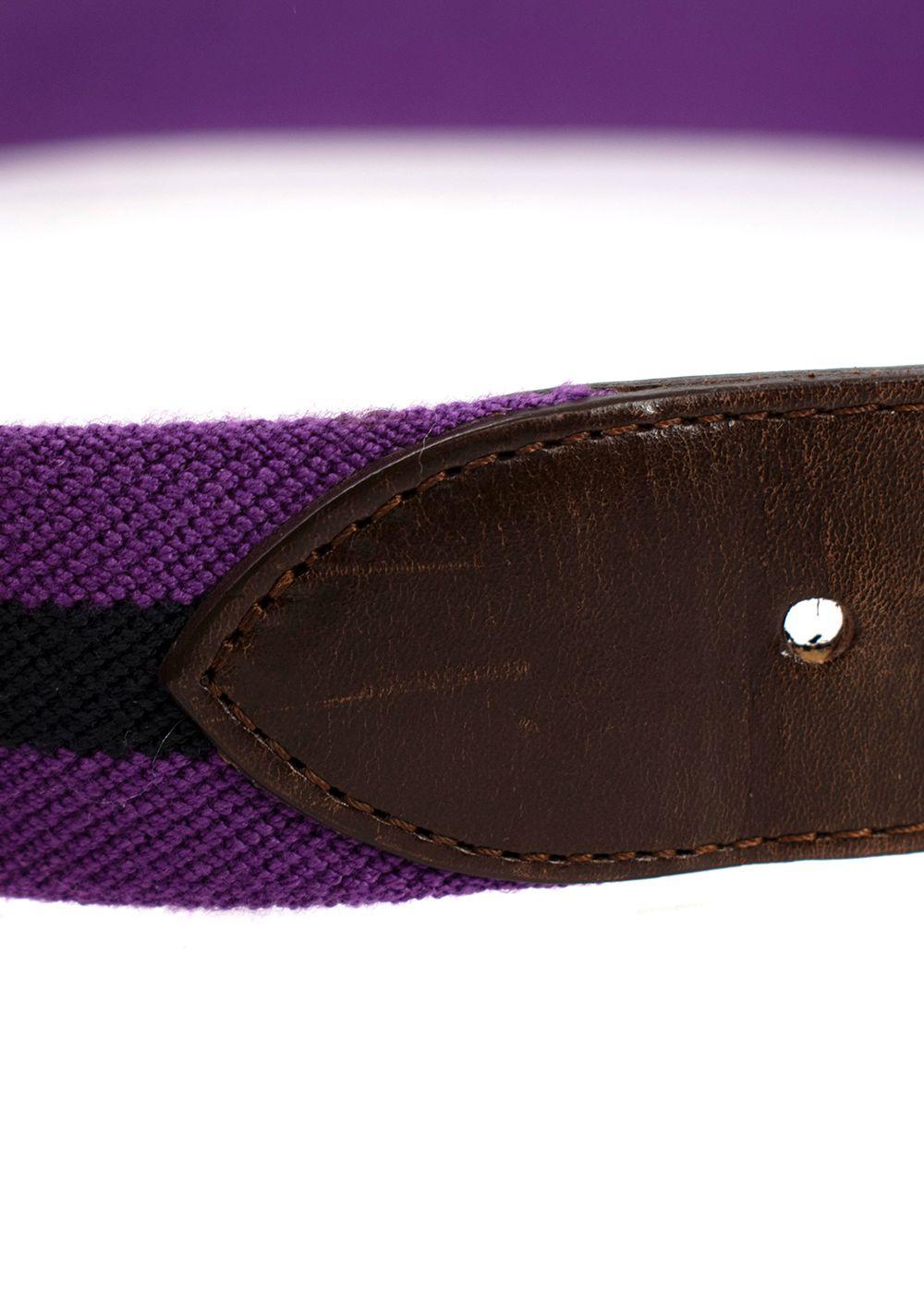 Carolina Hererra Brown Leather & Purple Canvas Belt