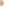         Dolce & Gabbana Golden Beige Cotton-blend Top