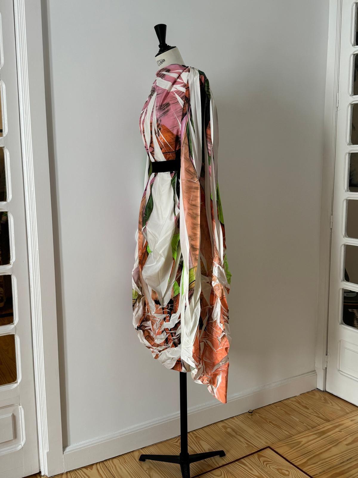 Roksanda Limited Edition Multicoloured Dress