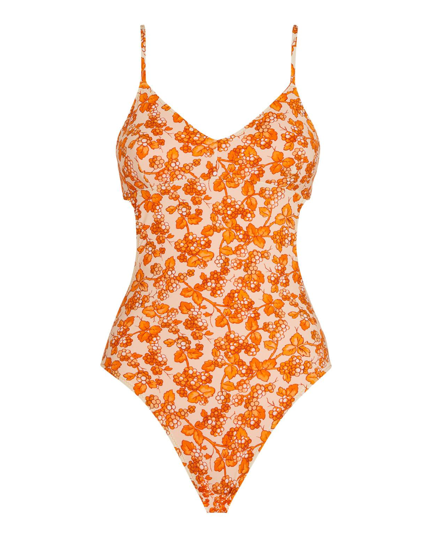 Etro Cutout Floral-print Swimsuit