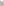         Baracci Ivory Sequin Embellished Gown