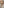         Gianvito Rossi Gianvito leopard-print calf hair pumps